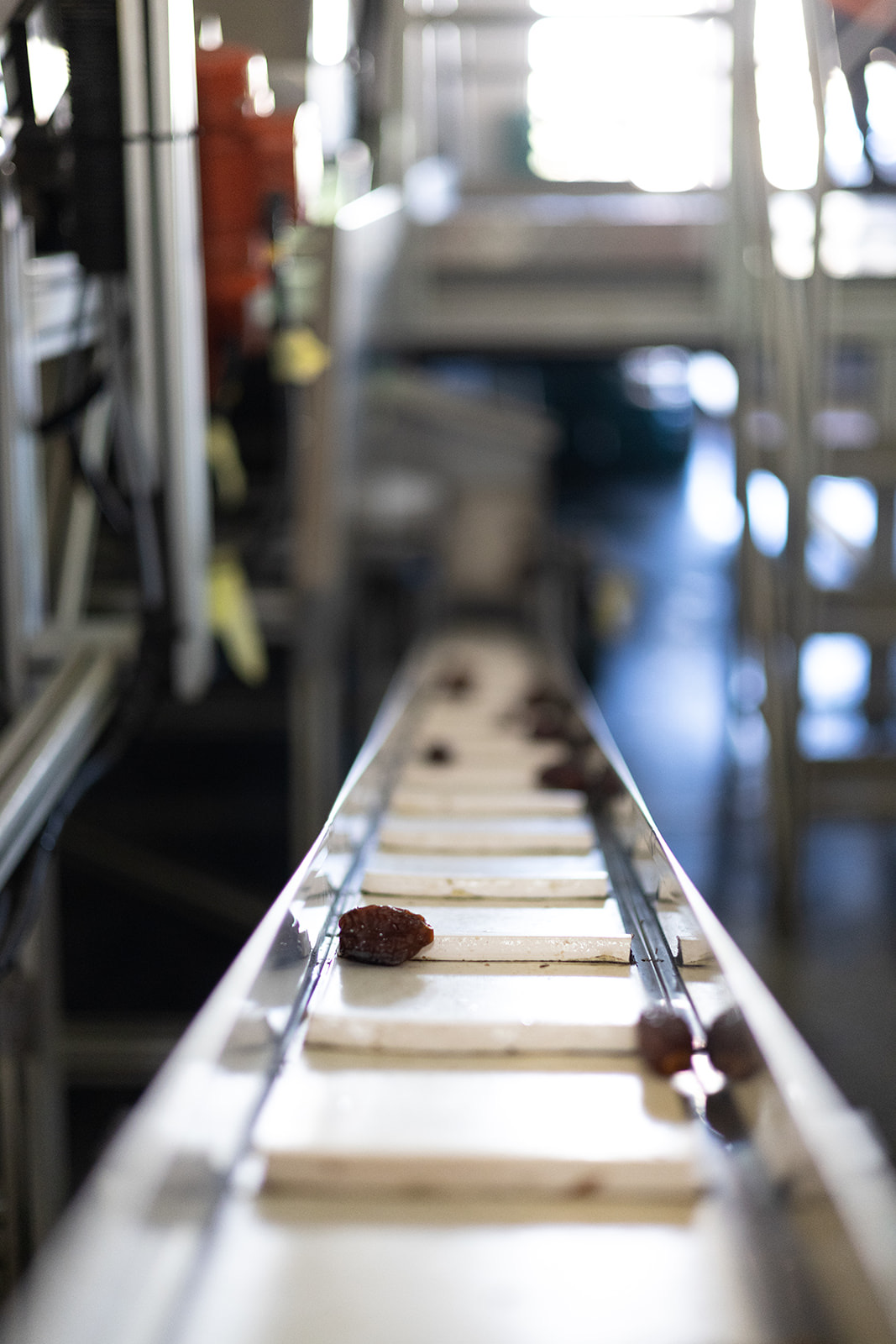 Dates moving through the packing process