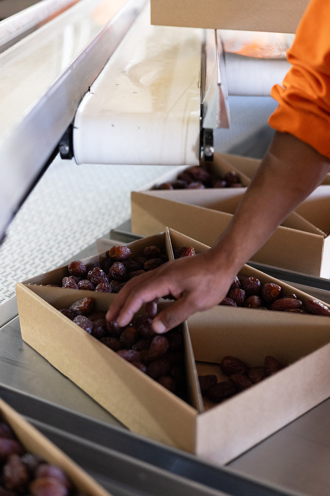 Packing dates into divided boxes