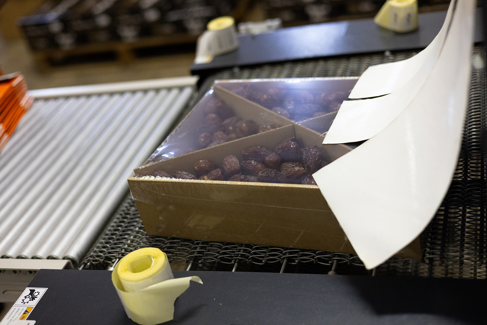 Packed dates being prepared for sealing