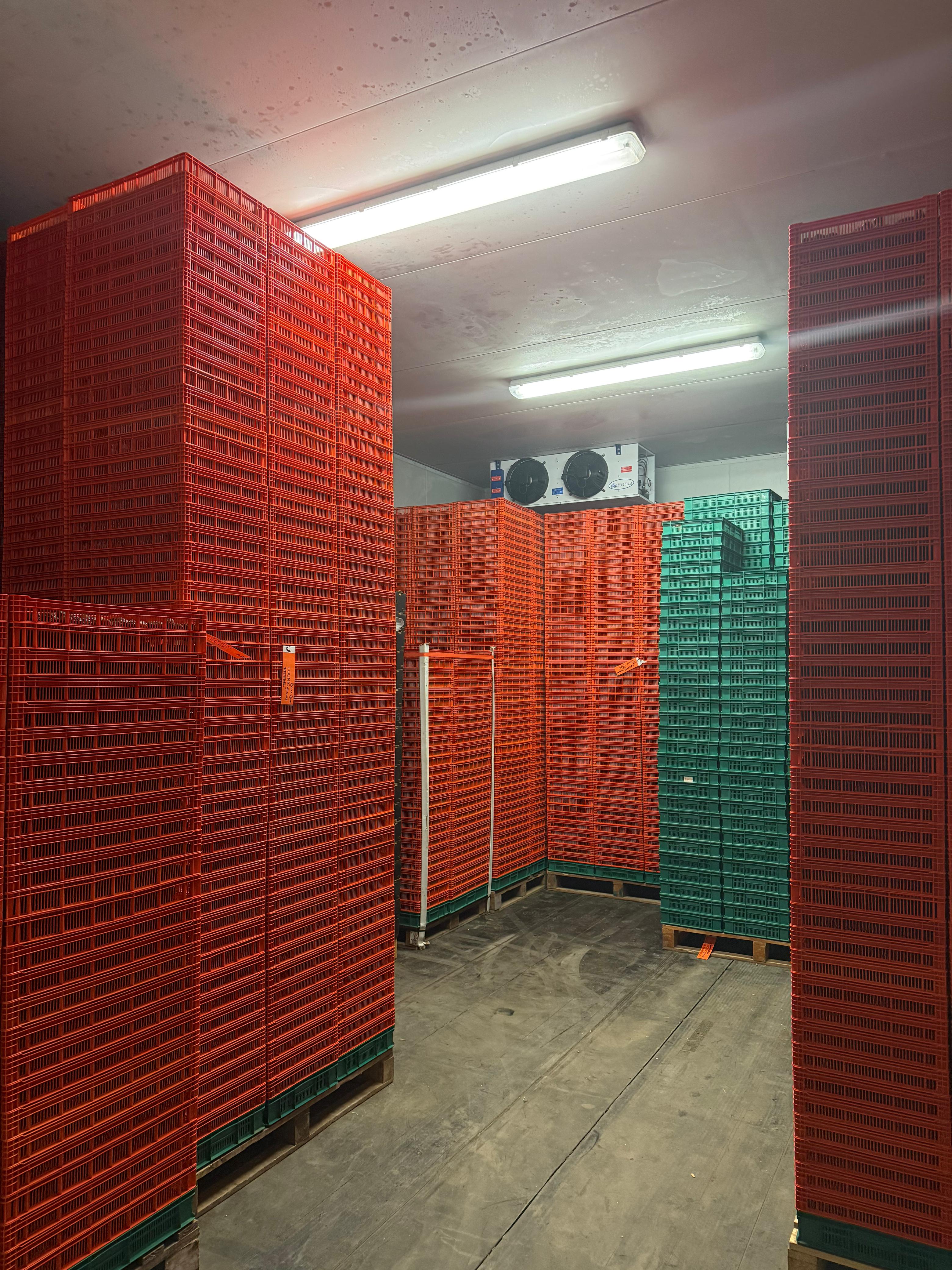 Stacked crates inside the controlled room