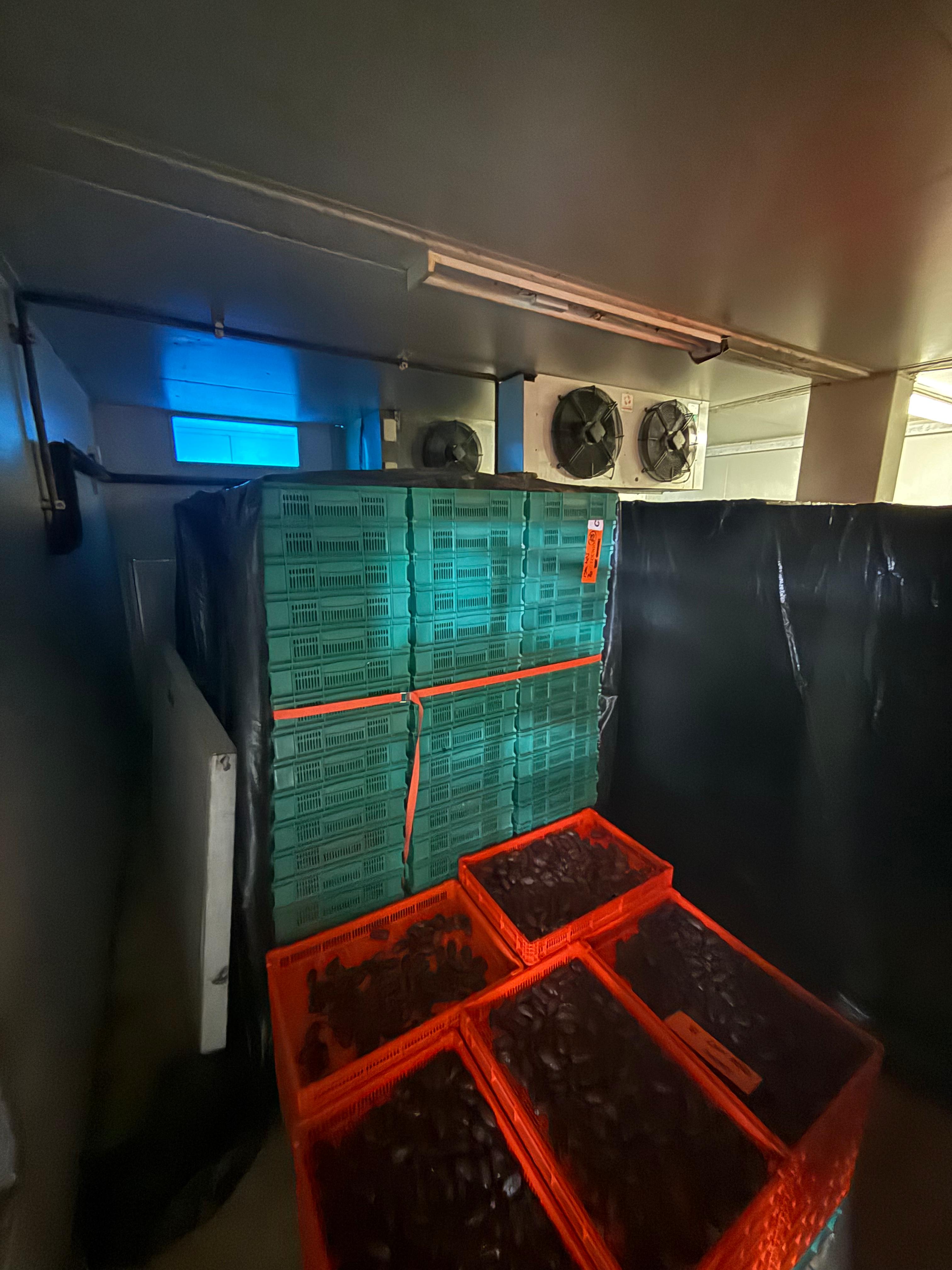 Dates inside the steam and drying room