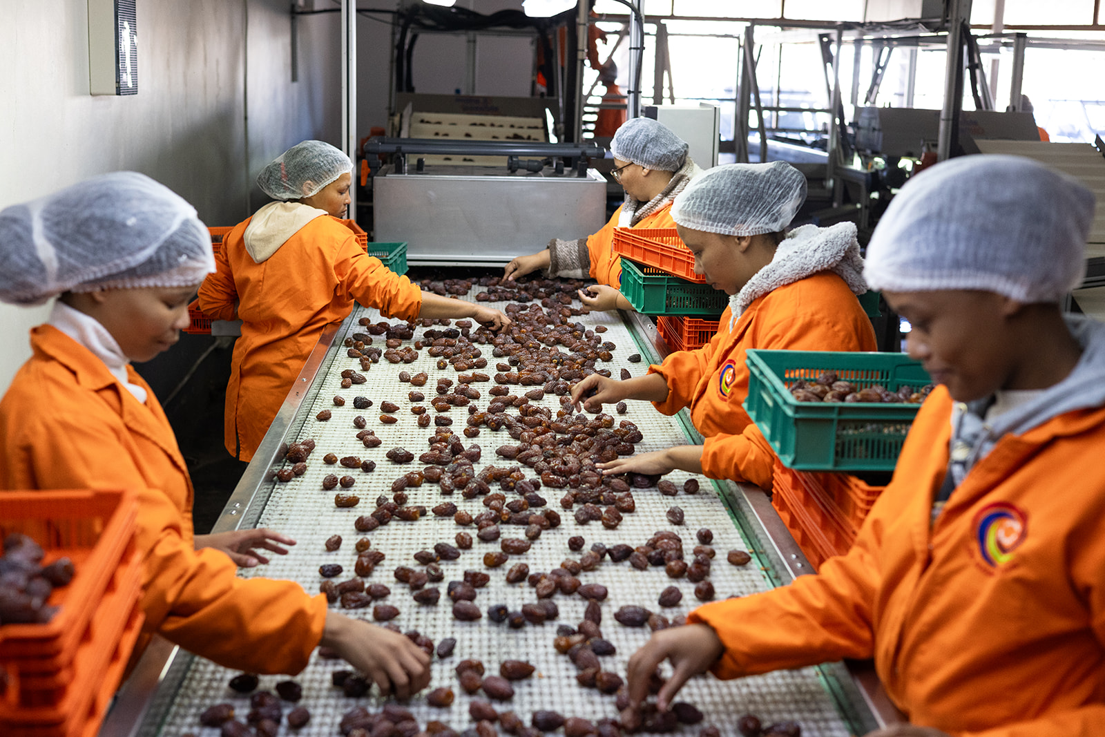 Team members sorting dates on the first line