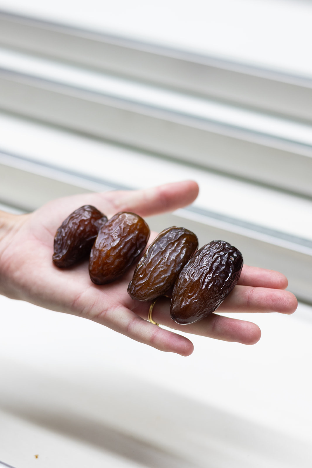 Lounic Medjool dates resting in hand