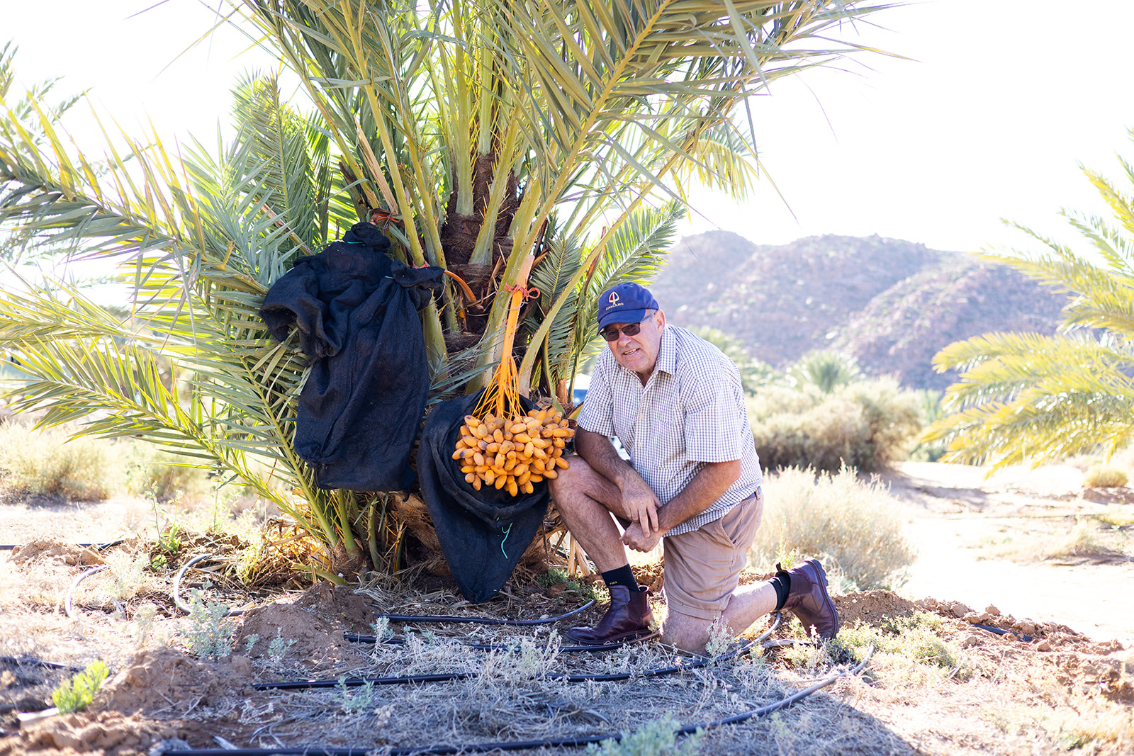 Lounic Boerdery founder kneeling beside a date palm